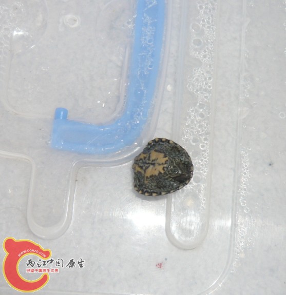 2天后3.jpg