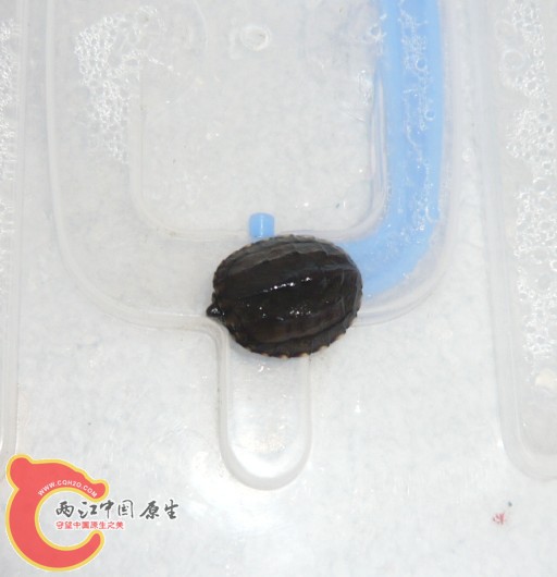 2天后4.jpg