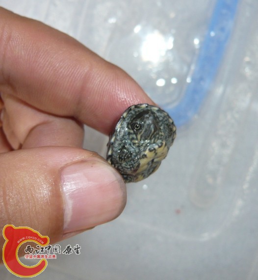 2天后7.jpg