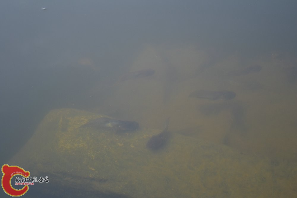 DSC_0294.JPG