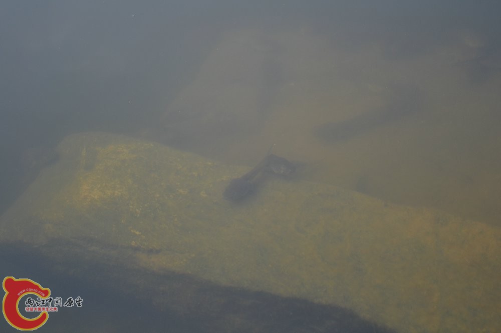 DSC_0295.JPG
