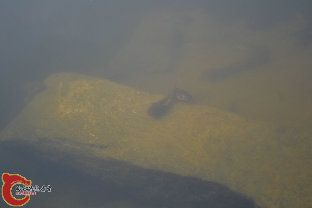 DSC_0296.JPG