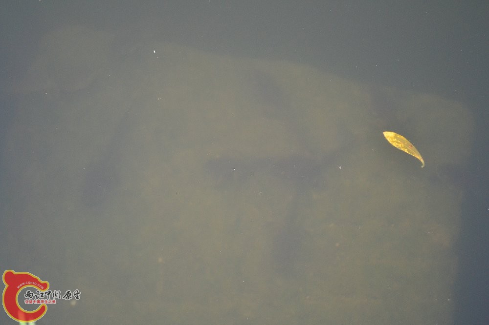 DSC_0298.JPG