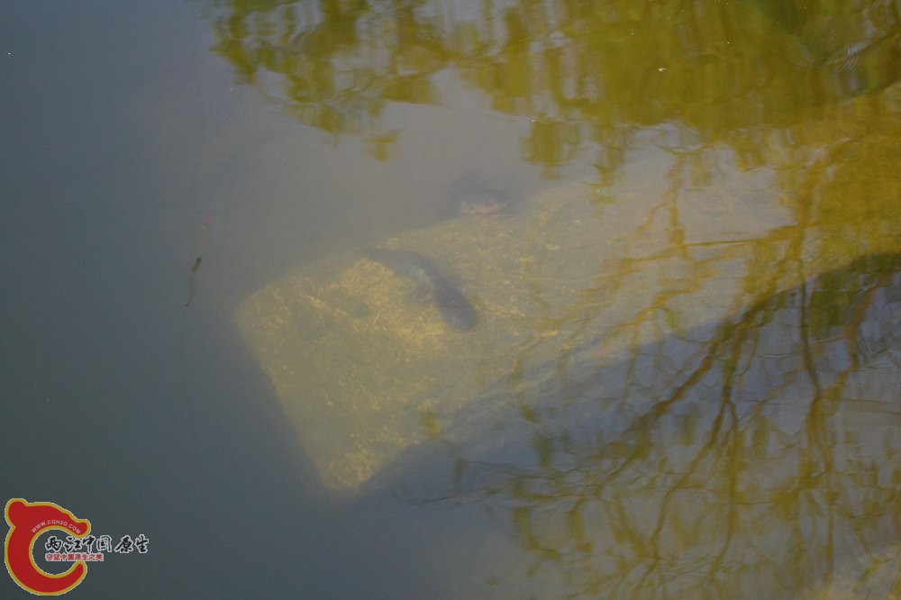 DSC_0299.JPG