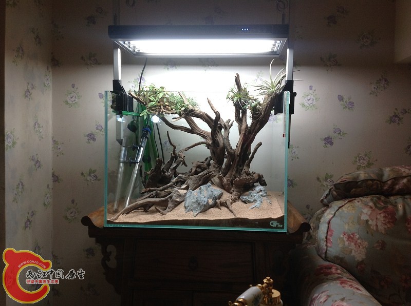 布好景了，自我感觉良好哈哈