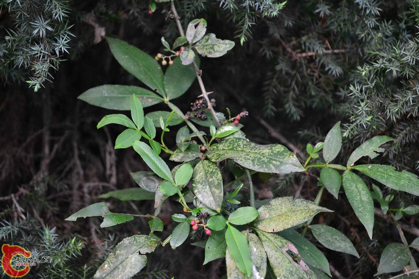 20130914-2919.JPG