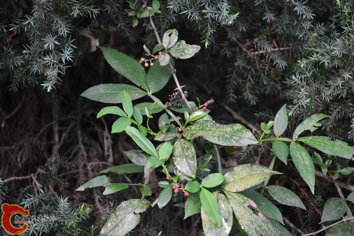 20130914-2920.JPG