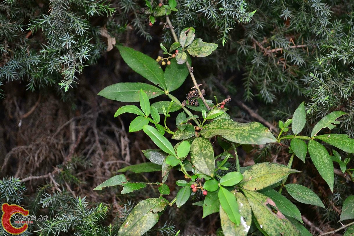 20130914-2921.JPG