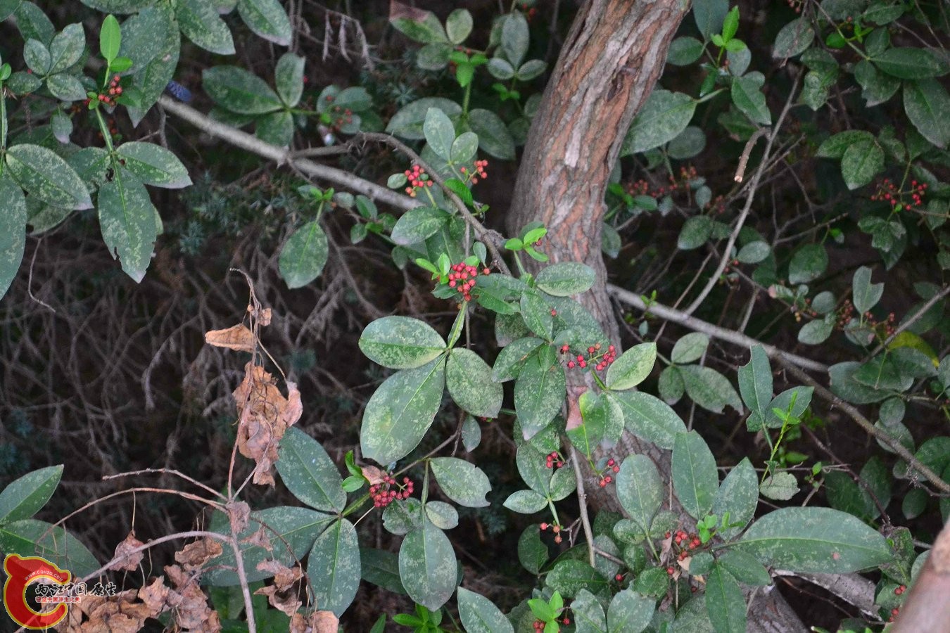 20130914-2925.JPG