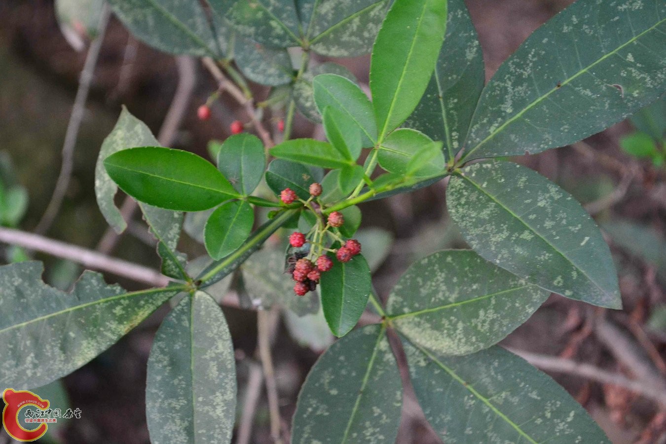 20130914-2928.JPG