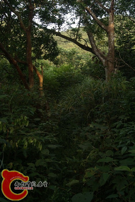 04.jpg