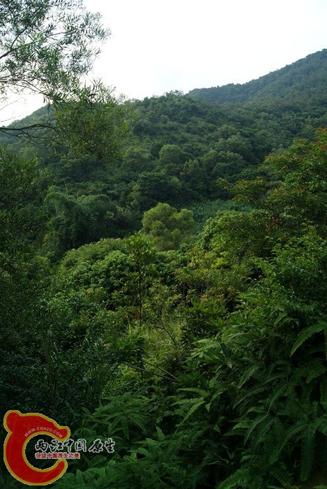 05.jpg