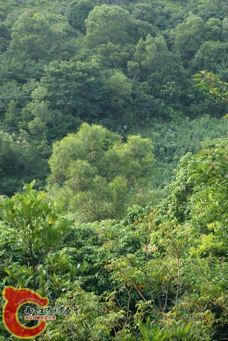 06.jpg