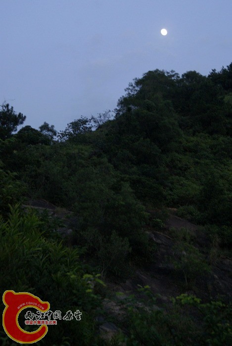 09.jpg