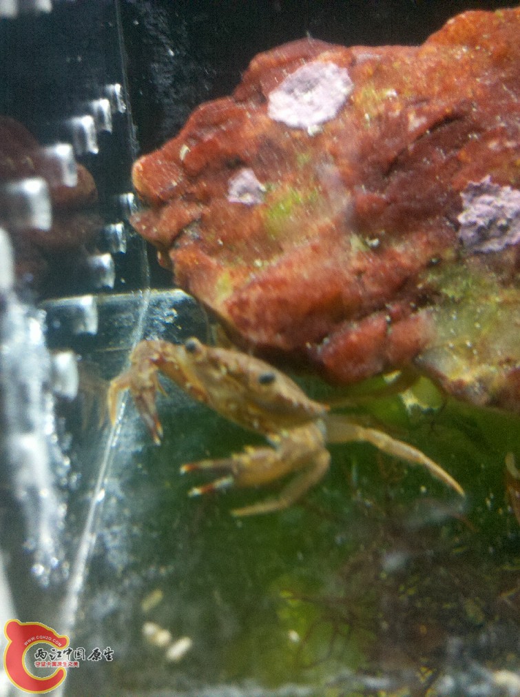 IMG_20130919_211320.jpg