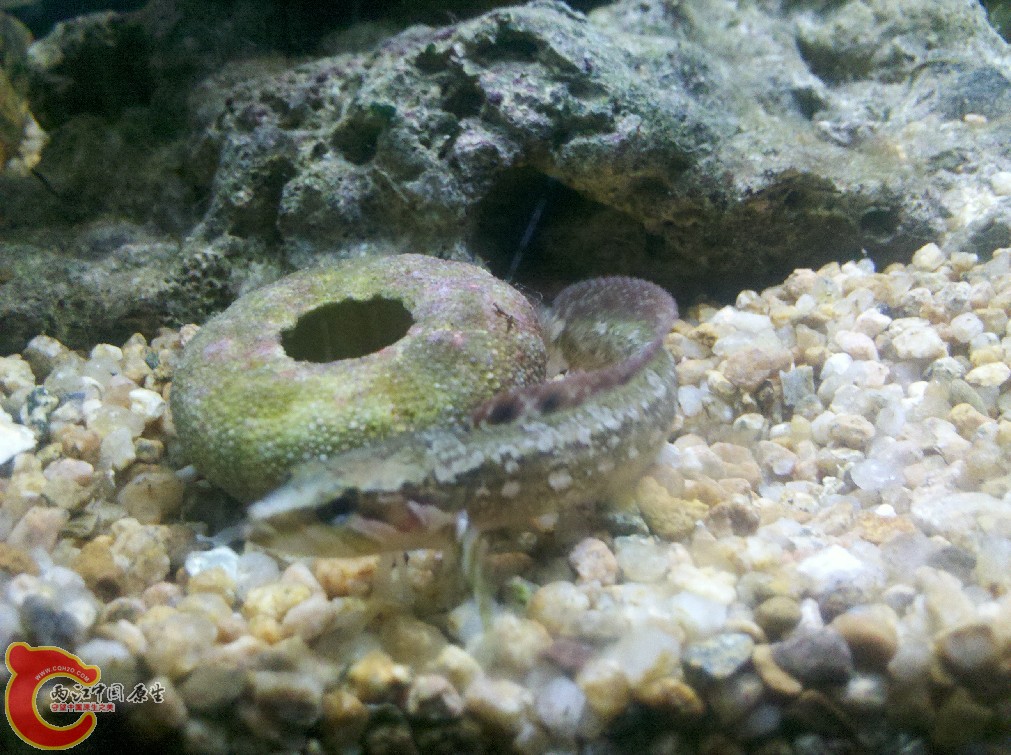 IMG_20130919_211548.jpg