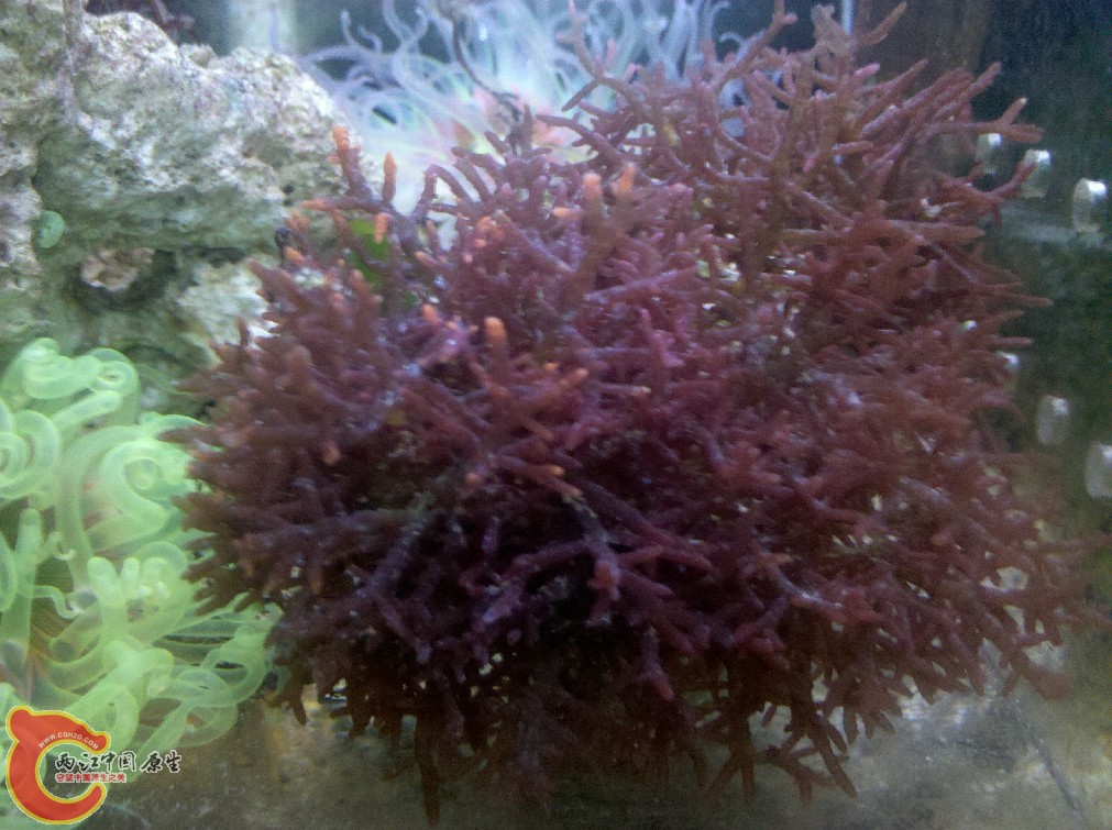 IMG_20130919_215235.jpg
