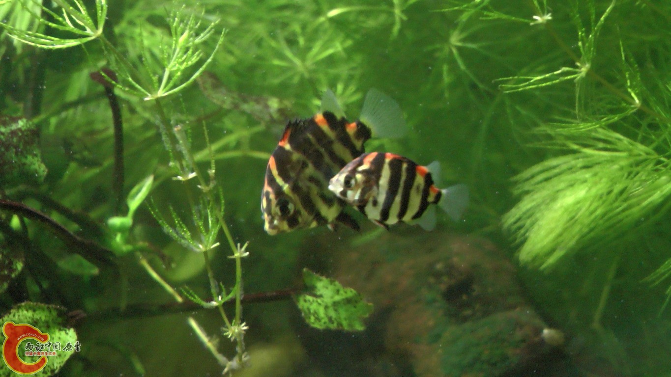 S1120073.JPG