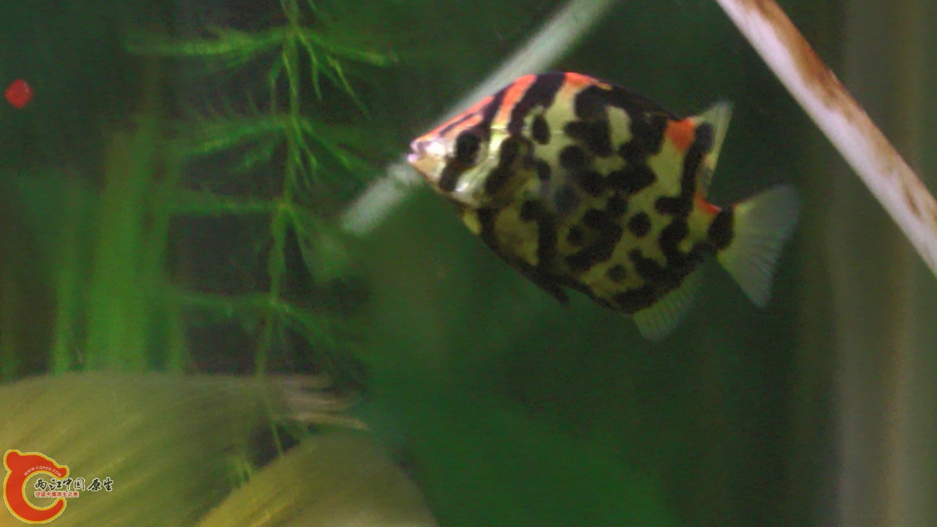S1120041.JPG