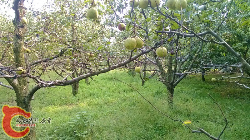 IMG_20130919_153628_副本.jpg IMG_20130919_153628_副本.jpg