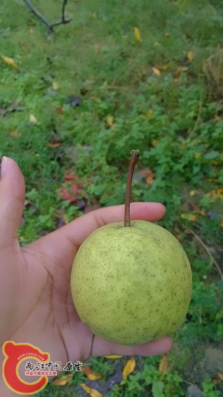 IMG_20130919_154234_副本.jpg IMG_20130919_154234_副本.jpg