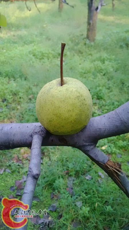 IMG_20130919_154248_副本.jpg IMG_20130919_154248_副本.jpg