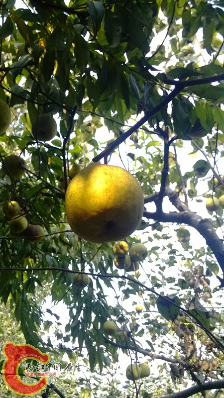 IMG_20130919_154326_副本.jpg IMG_20130919_154326_副本.jpg