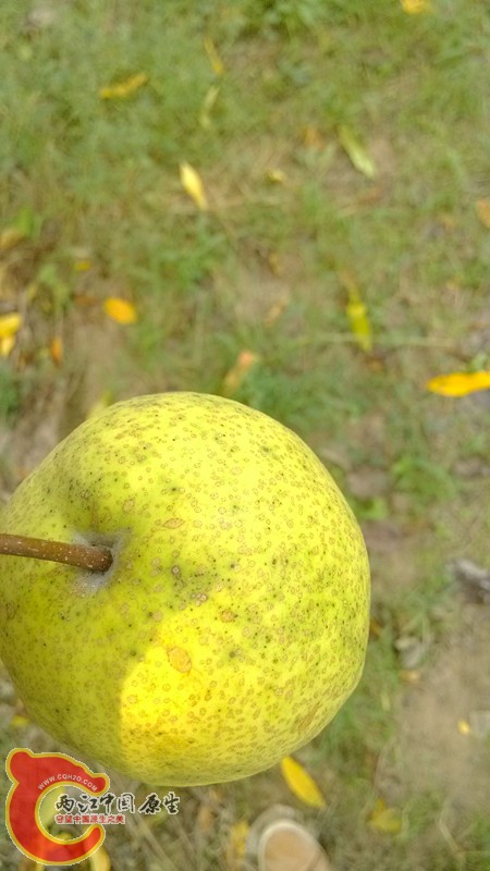 IMG_20130919_154356_副本.jpg IMG_20130919_154356_副本.jpg