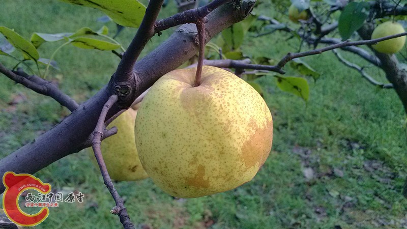 IMG_20130919_154846_副本.jpg IMG_20130919_154846_副本.jpg