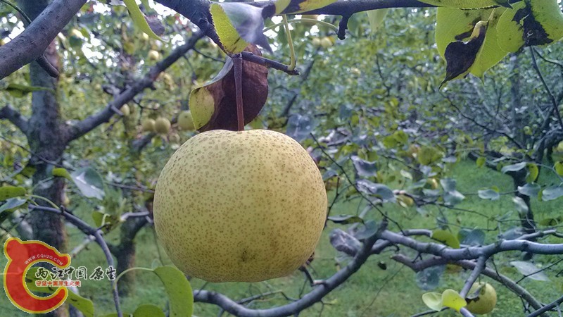 IMG_20130919_154855_副本.jpg IMG_20130919_154855_副本.jpg