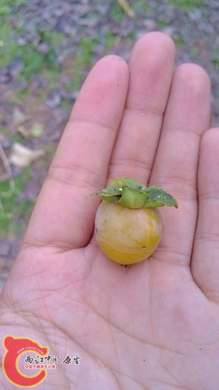 IMG_20130919_154017_副本.jpg IMG_20130919_154017_副本.jpg