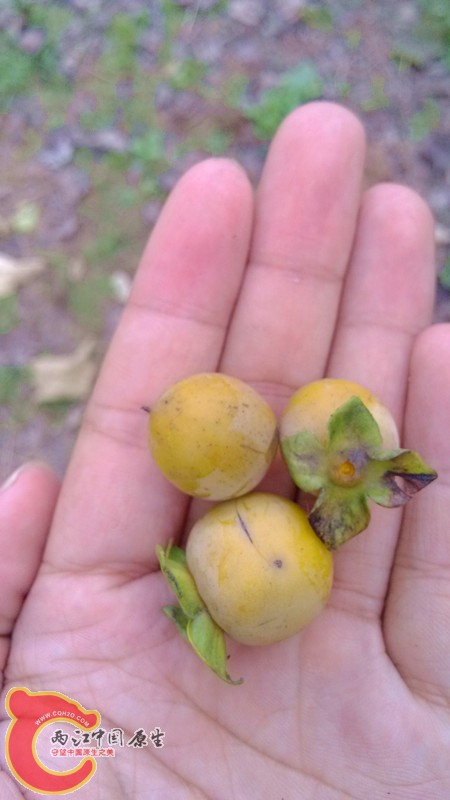 IMG_20130919_154032_副本.jpg IMG_20130919_154032_副本.jpg