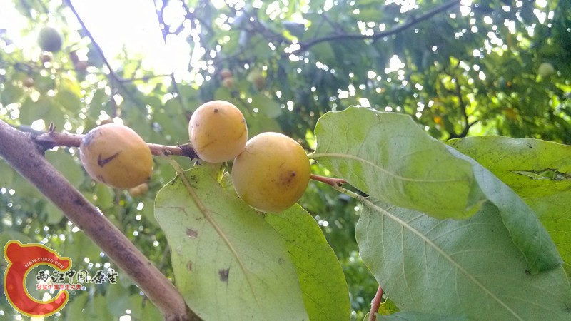 IMG_20130919_154143_副本.jpg IMG_20130919_154143_副本.jpg