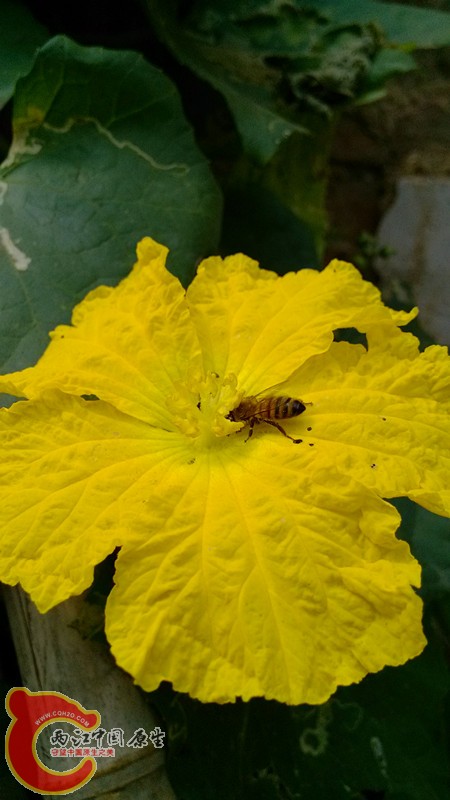 IMG_20130920_104534_副本.jpg IMG_20130920_104534_副本.jpg