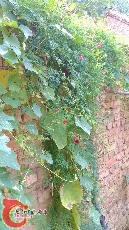 IMG_20130920_104844_副本.jpg IMG_20130920_104844_副本.jpg