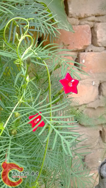 IMG_20130920_104938_副本.jpg IMG_20130920_104938_副本.jpg