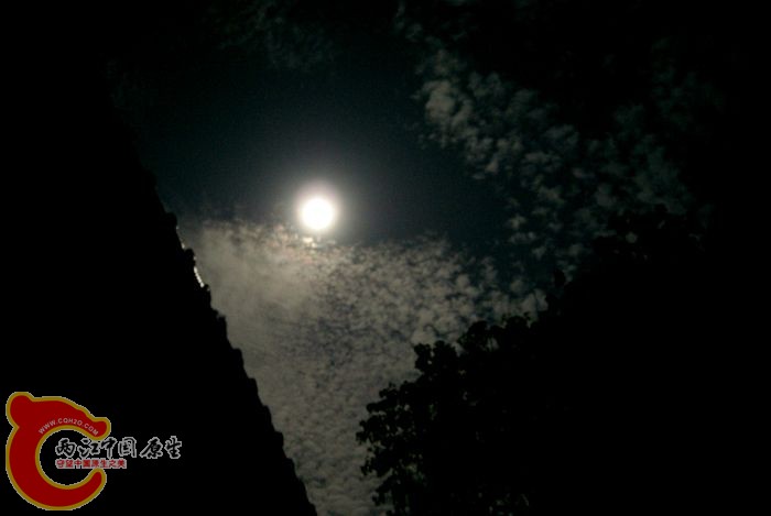 01.jpg