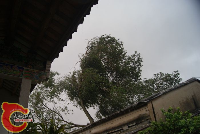 09.jpg