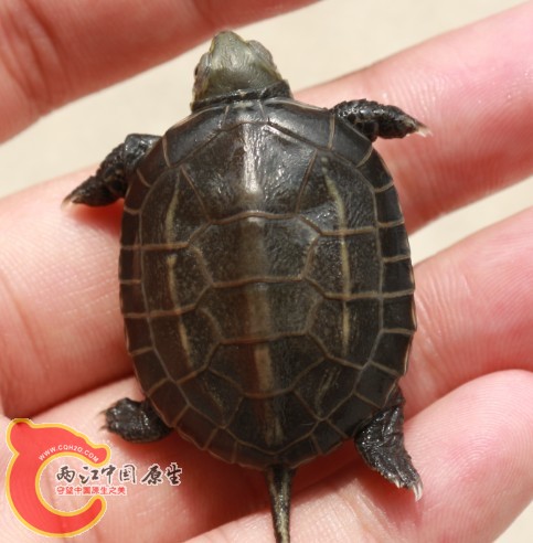 QQ图片20130923224946.jpg