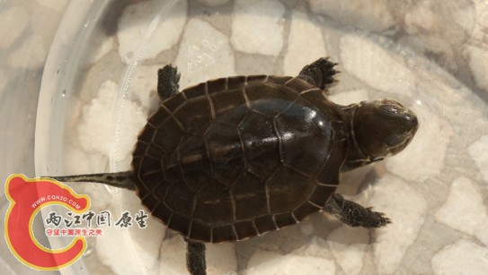QQ图片20130923224932.jpg
