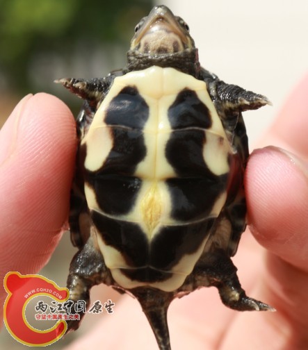 QQ图片20130923224923.jpg