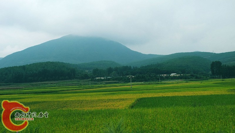 DSCF0183.jpg