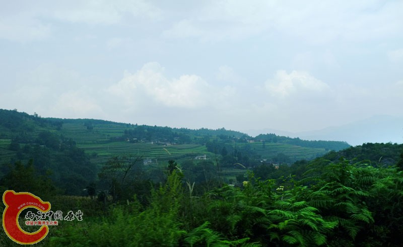 DSCF0214.jpg