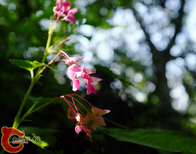 DSCF0317.jpg