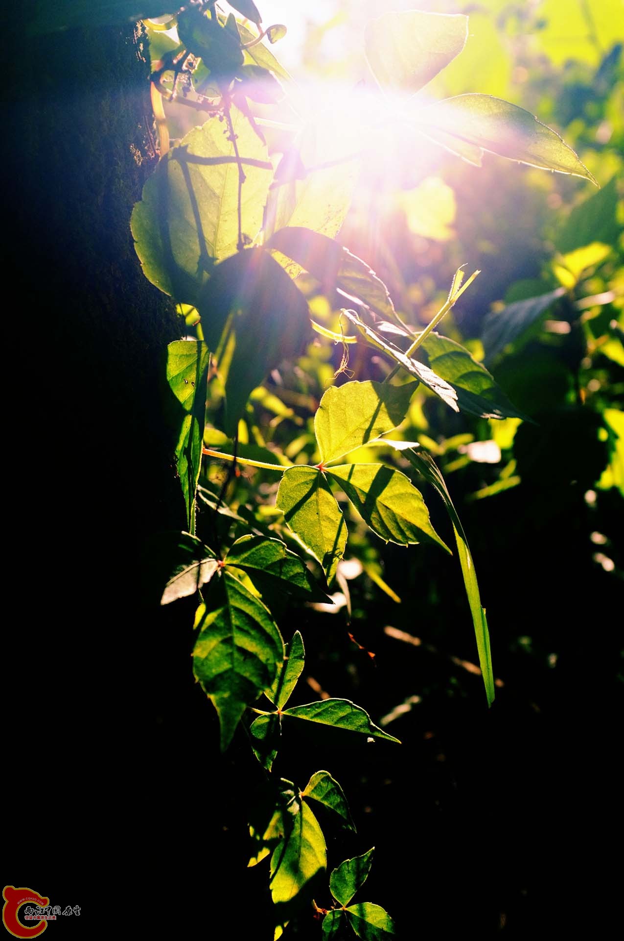 DSCF0324_out.jpg