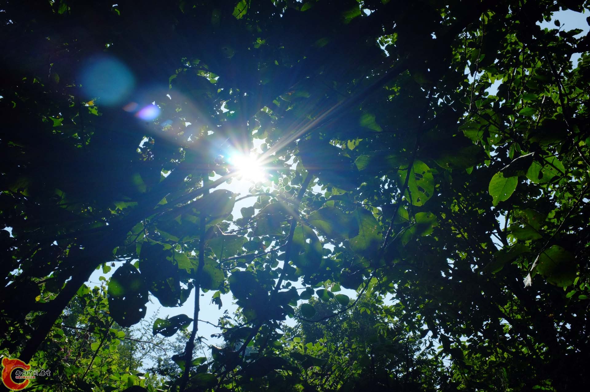DSCF0318.jpg