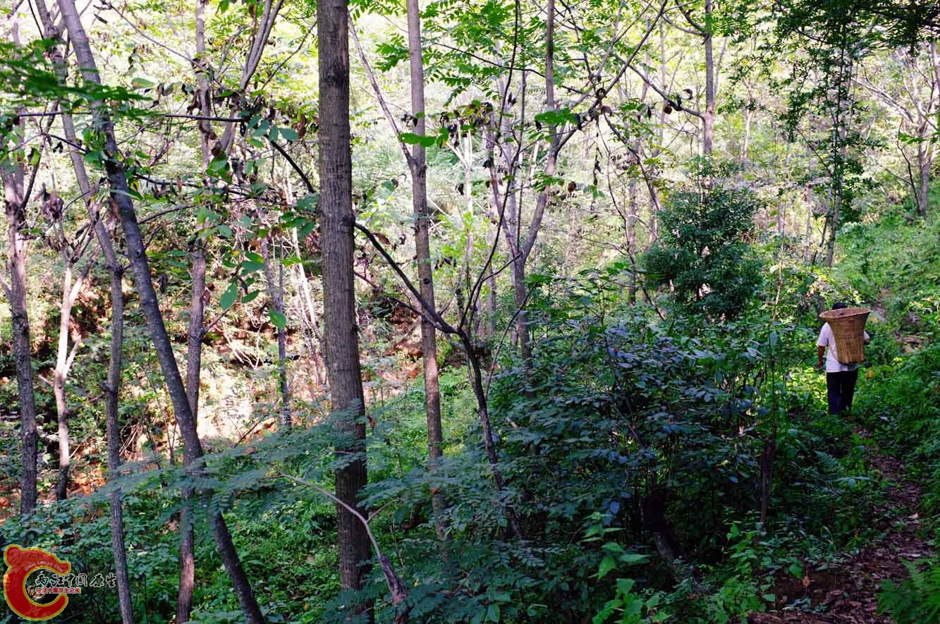 DSCF0329.jpg