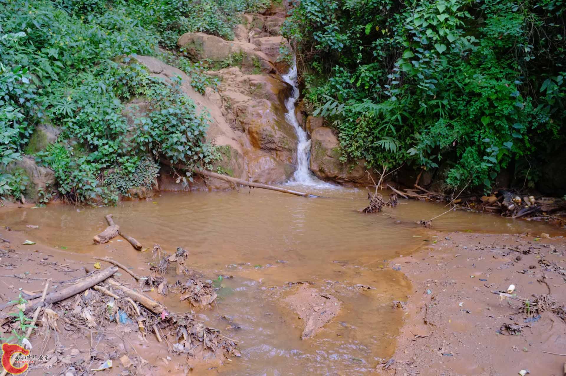 DSCF0345.jpg