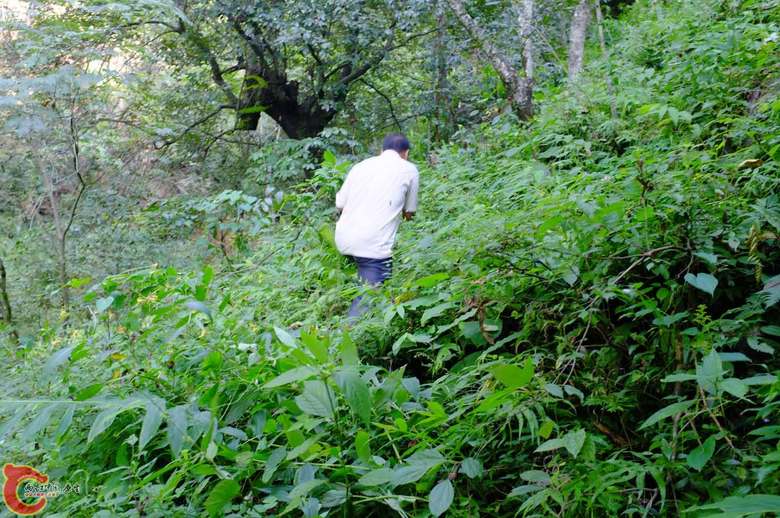 DSCF0349.jpg