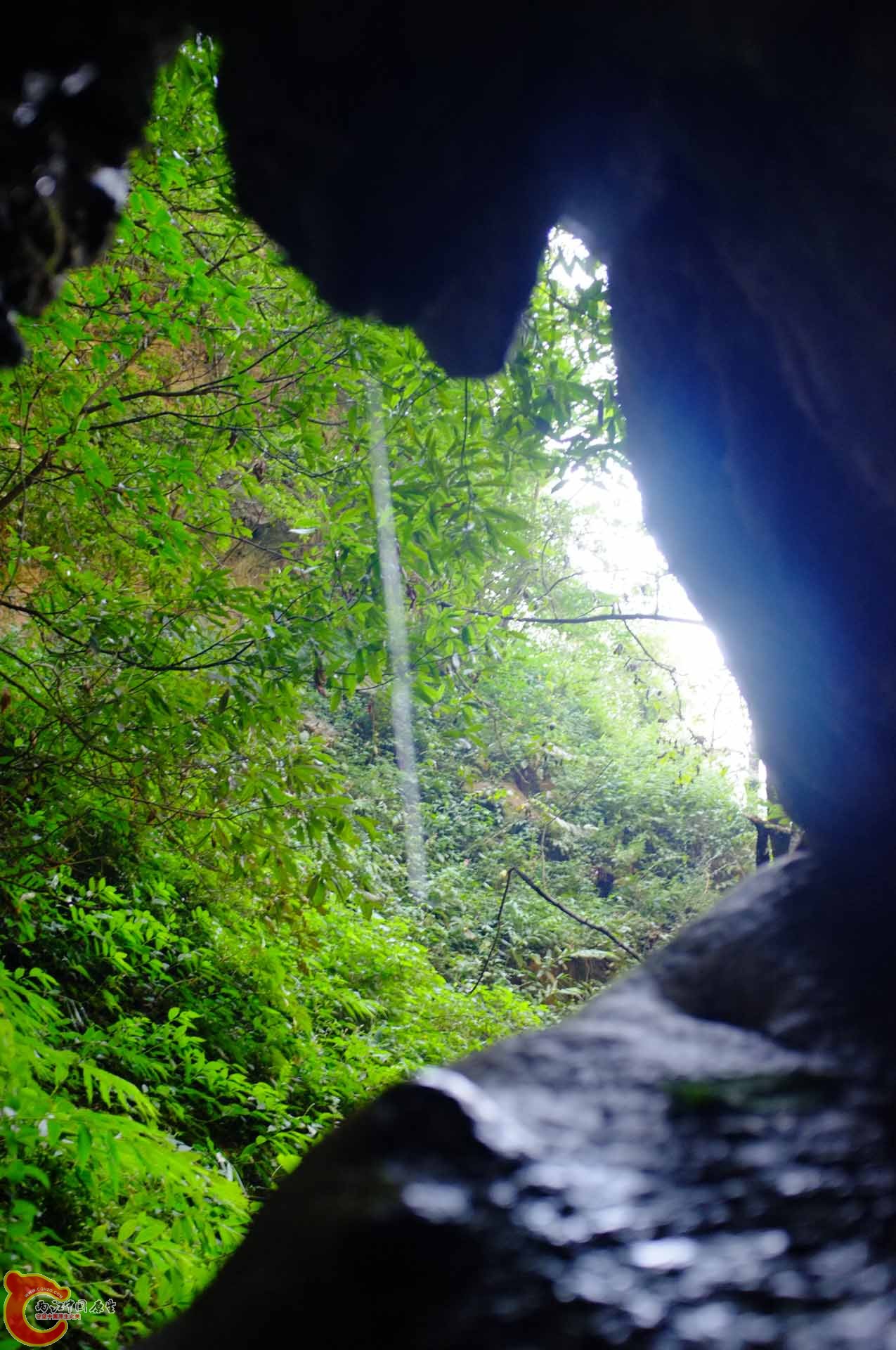 DSCF0364.jpg